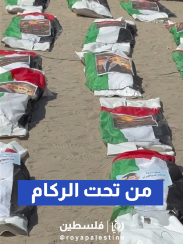 @Royapalestine رؤيا فلسطين