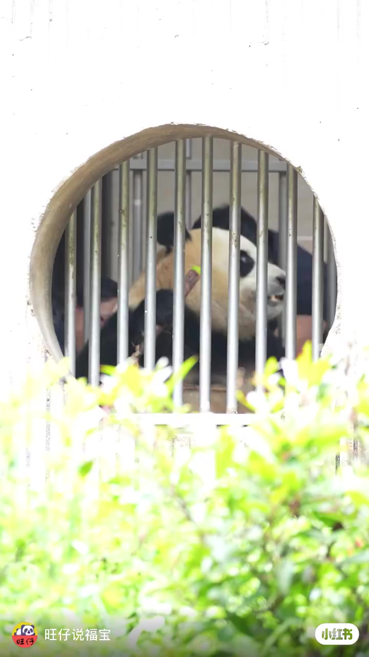 @福寶需要愛的抱抱
