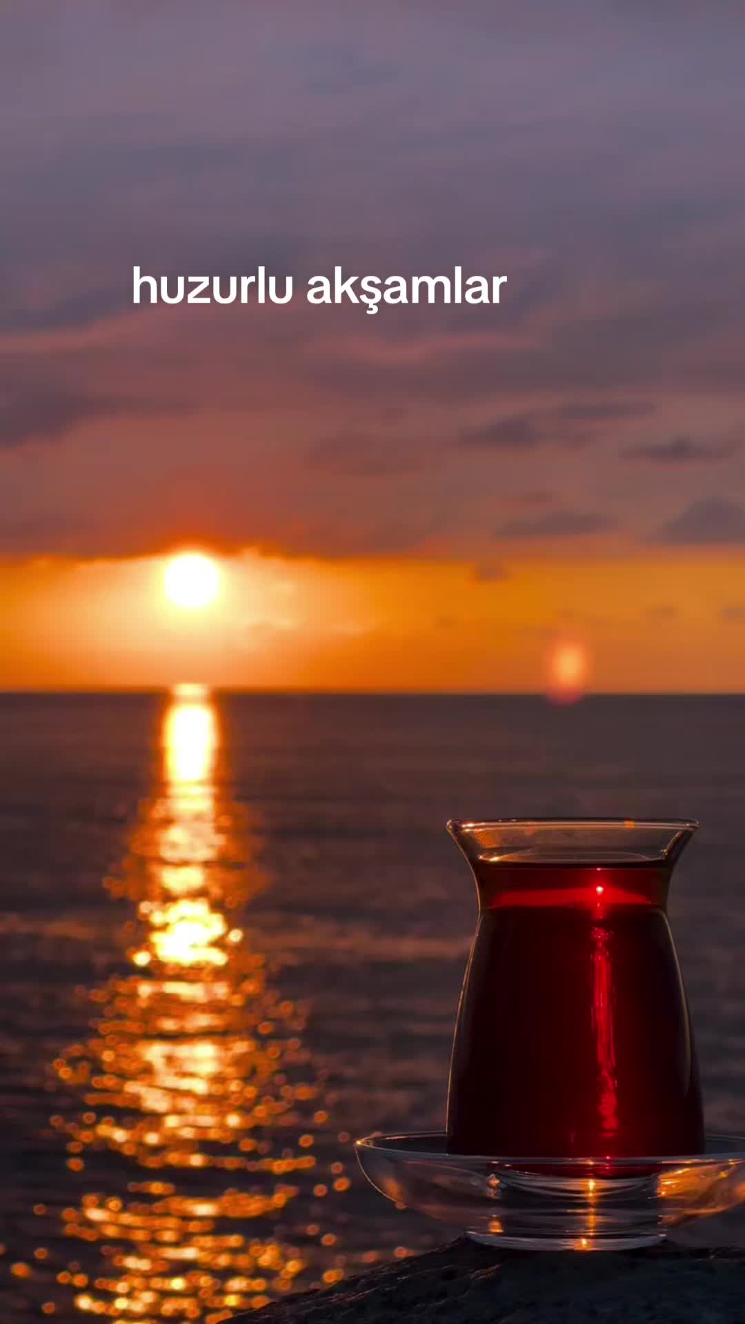 @ayse48