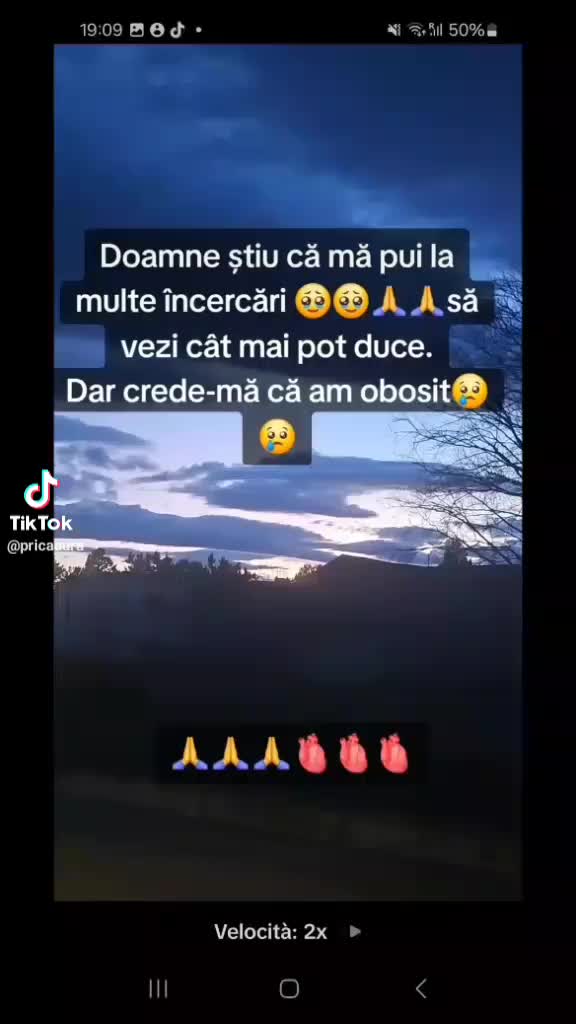 @laviniabebe
