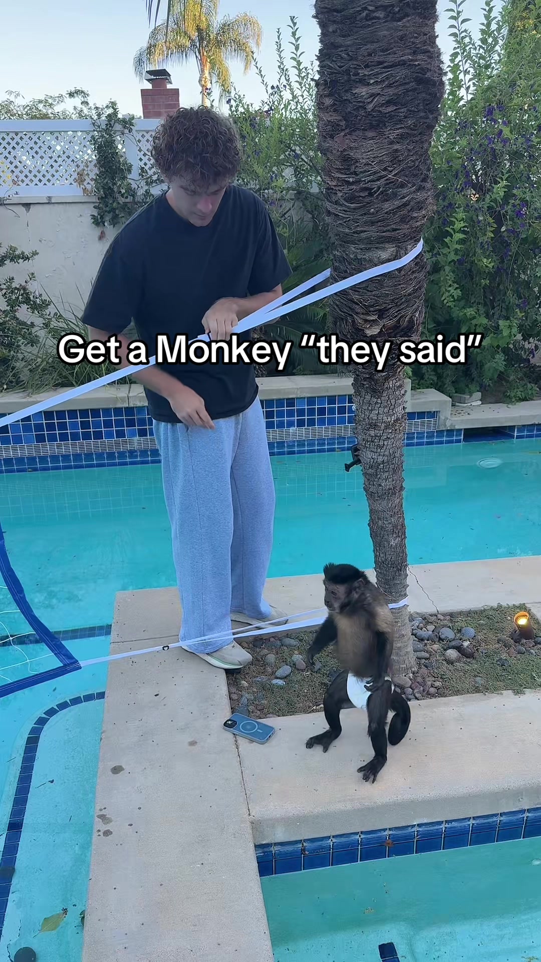 @dexthemonkeyy