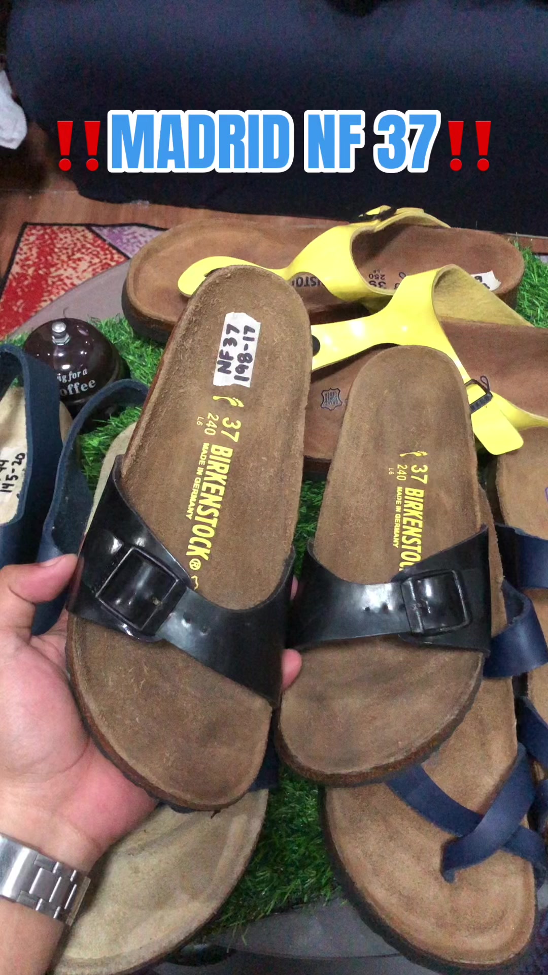 @DAILY BIRKS