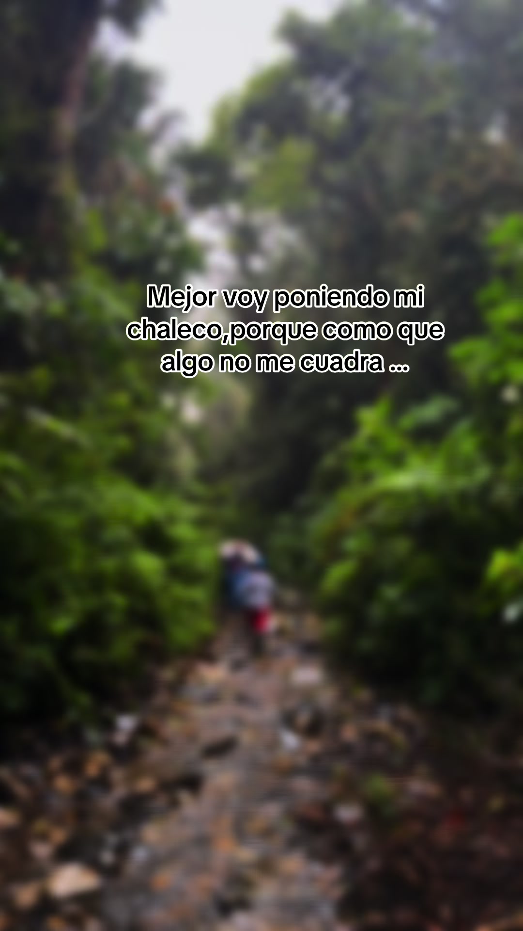 @Diana ๐ค๐