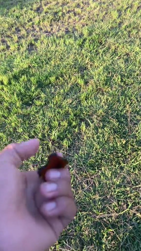 @Mister_factos 