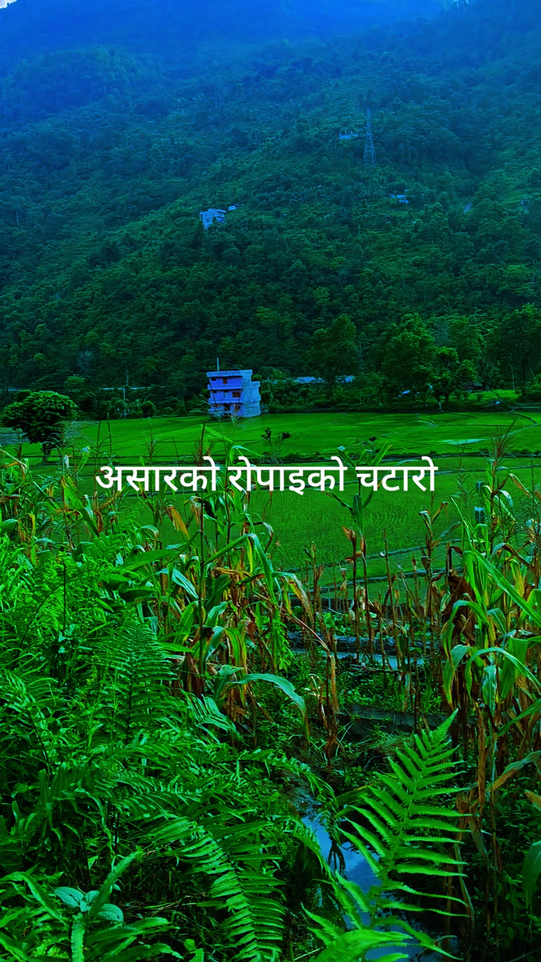 @NawaRaj Dhakal
