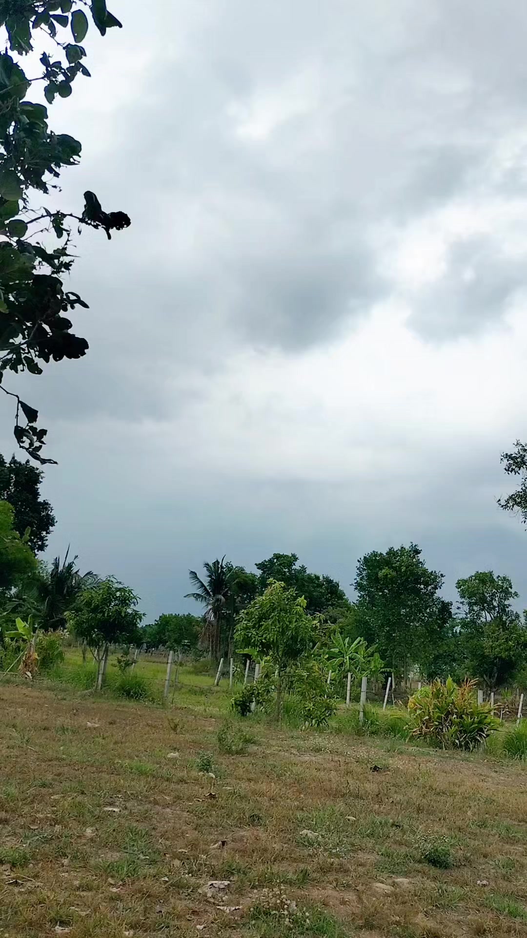 @Surasak Wongnet