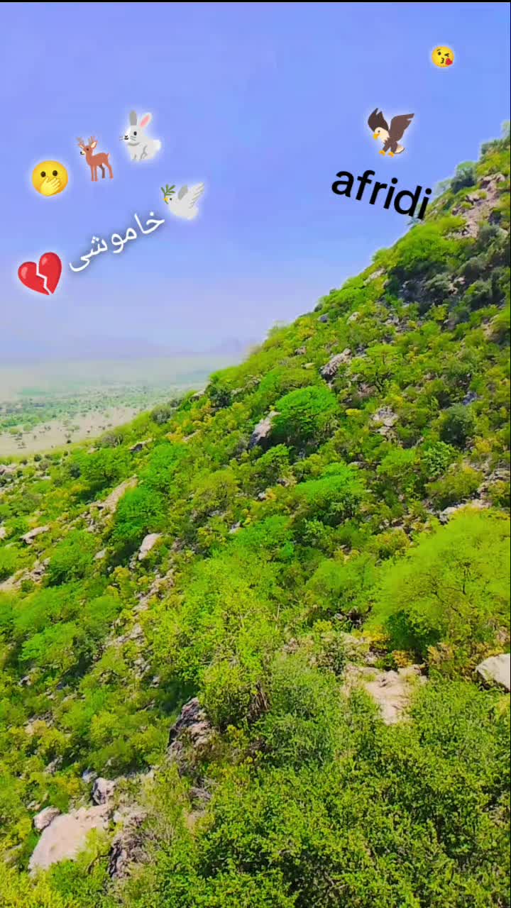 @Faizan _khan 368