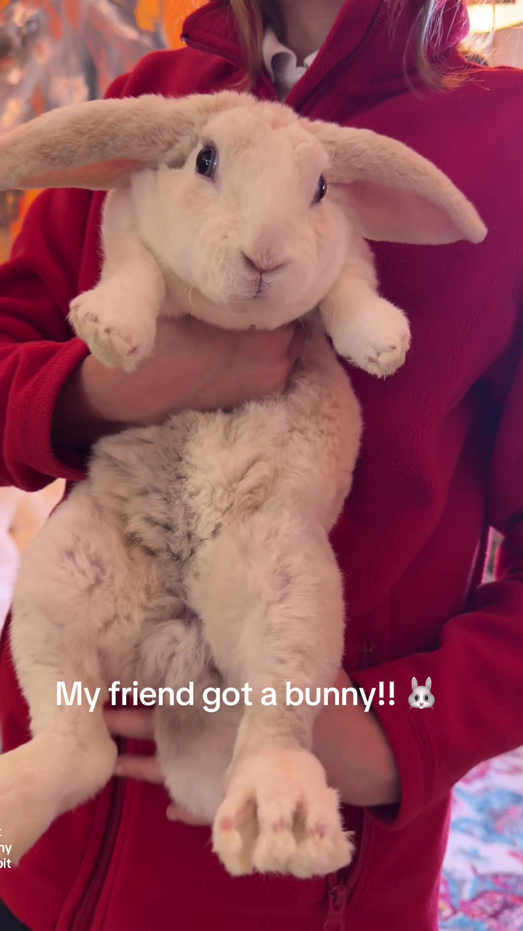 @KristinJohansen