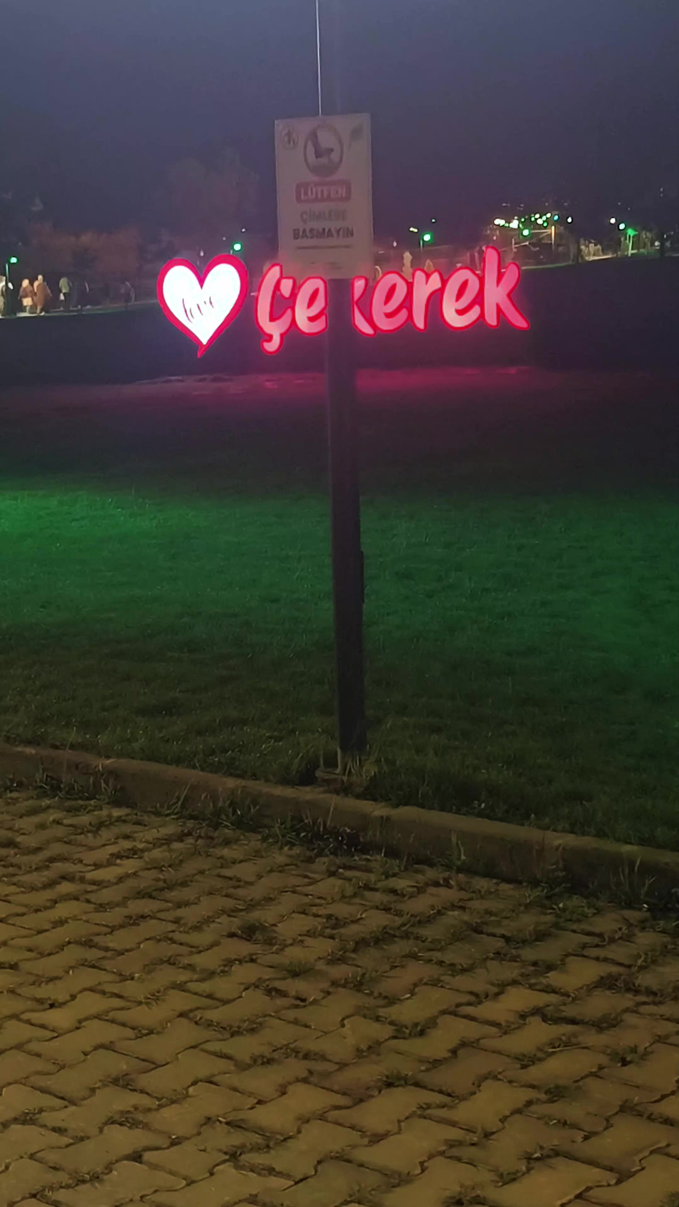 @hayat66sen