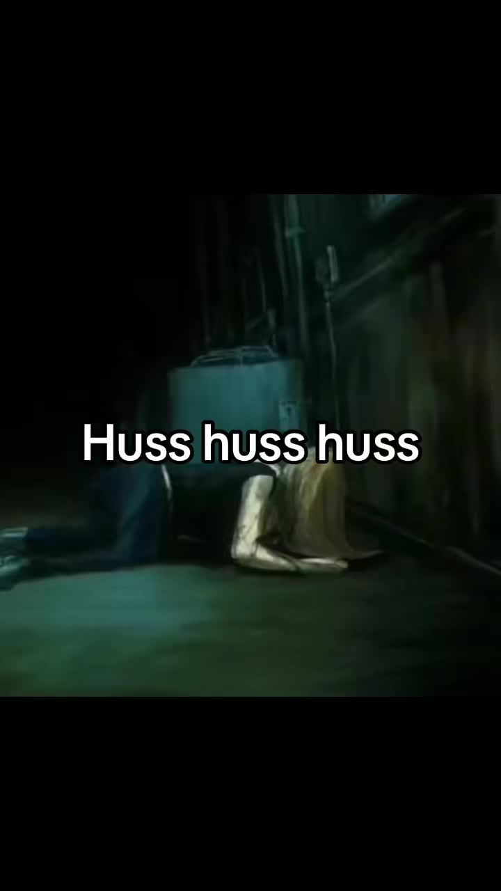 @𝙿𝚘𝚖𝚒