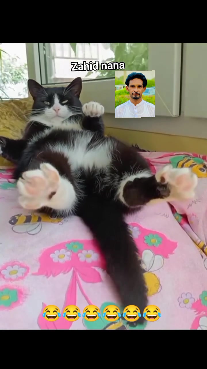 @Zahid Nana