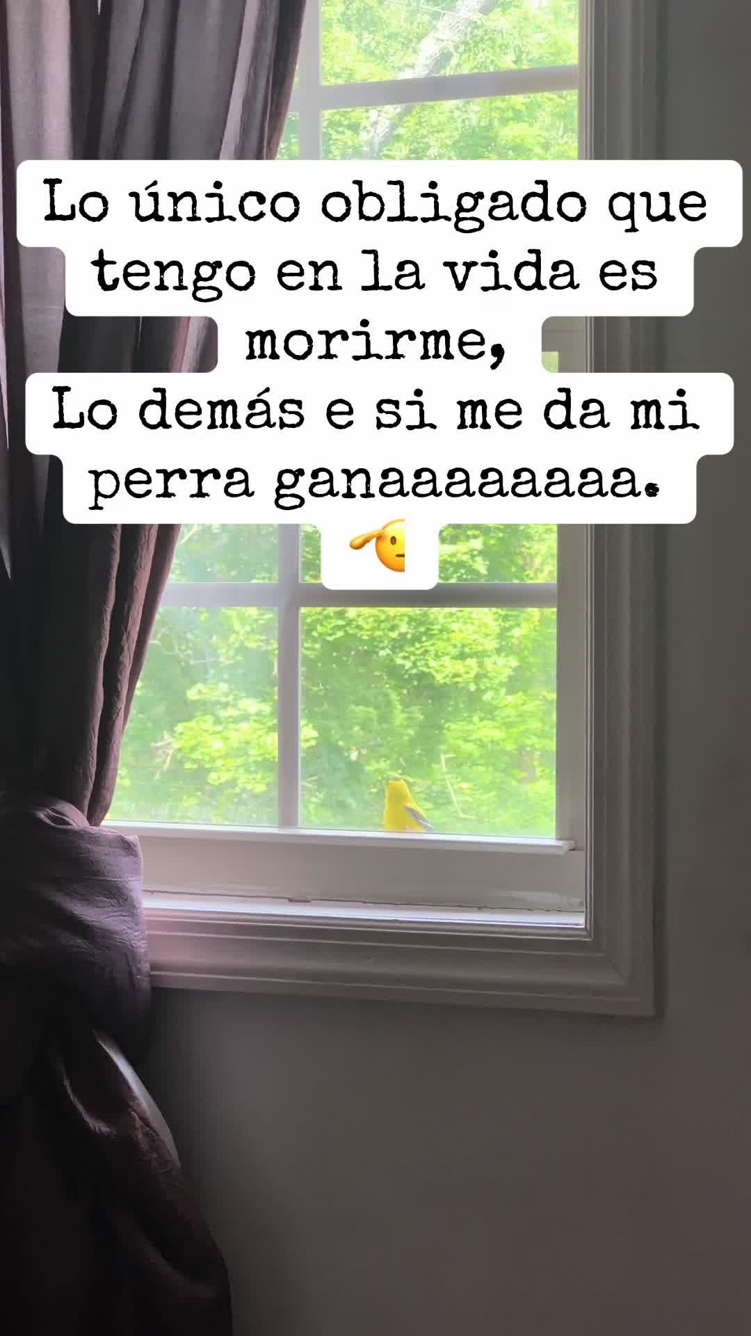 @yomaliAquino