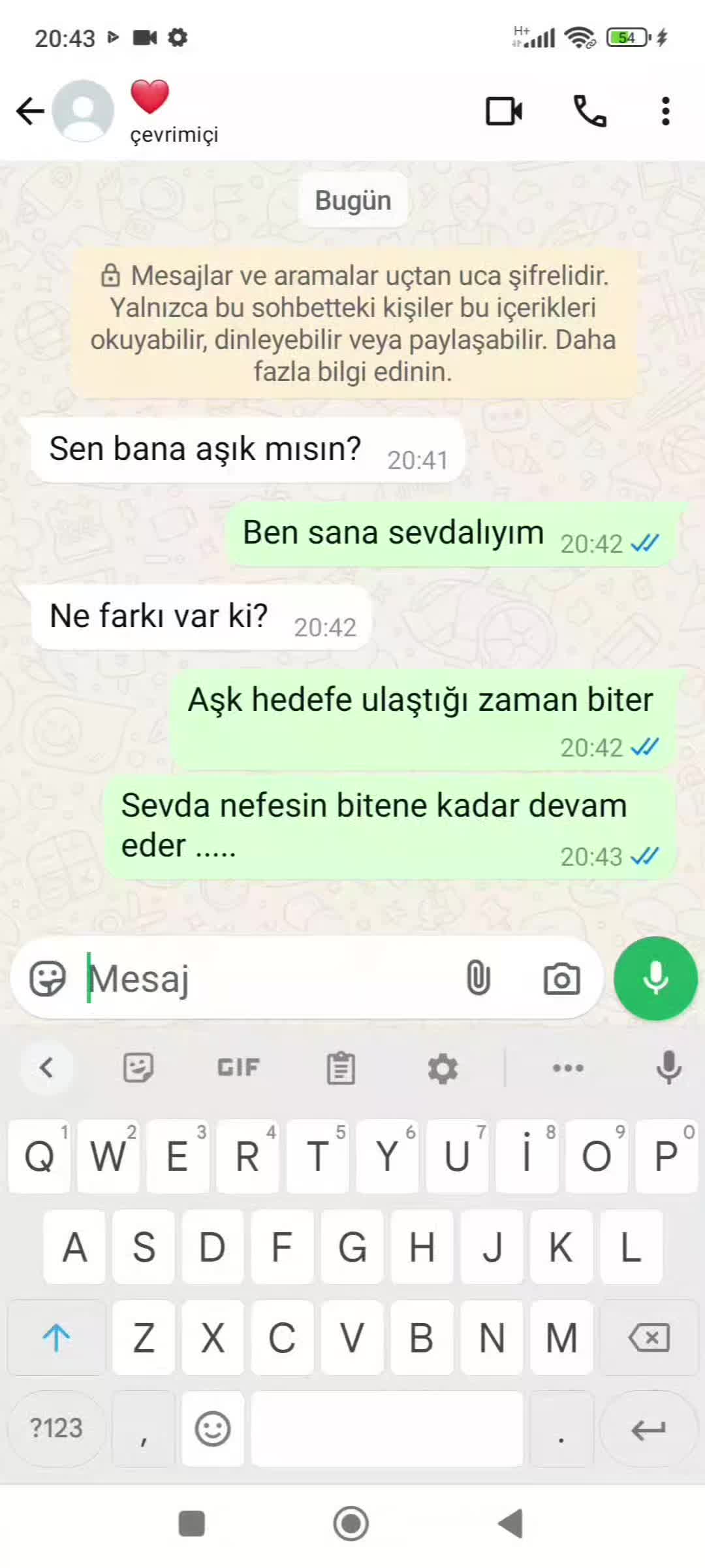 @story-skagi