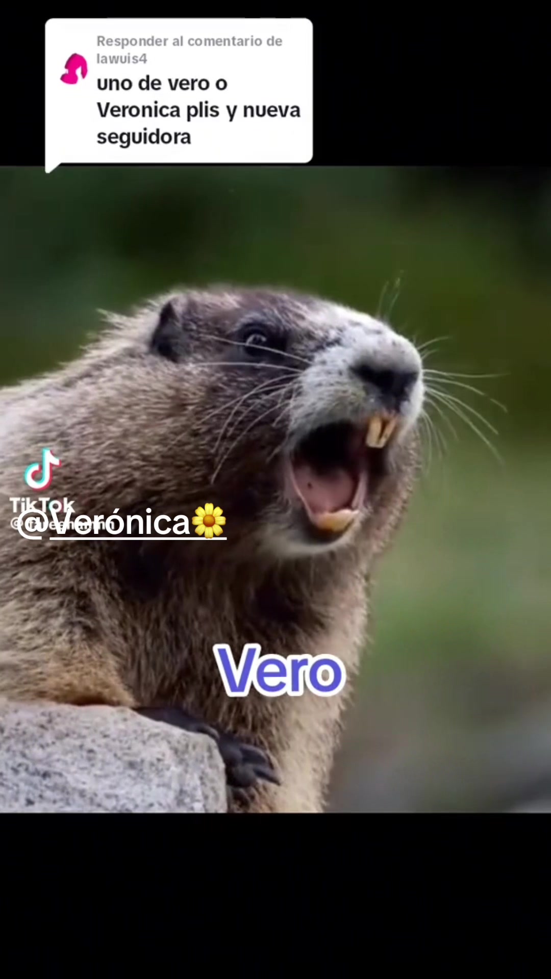 @Jaz