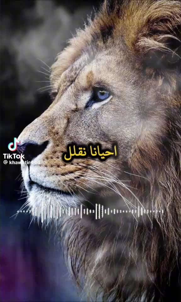 @Om 3li💙