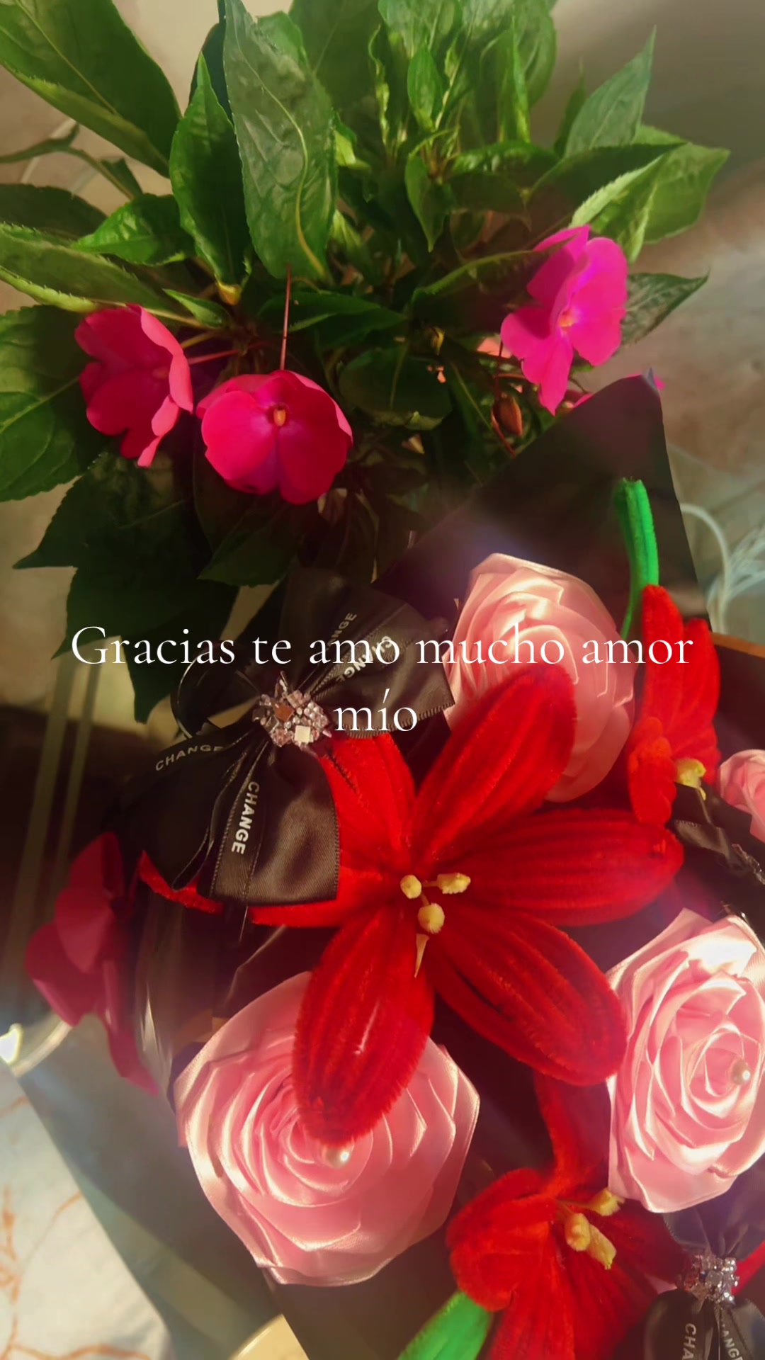 @Bely flores 🌷