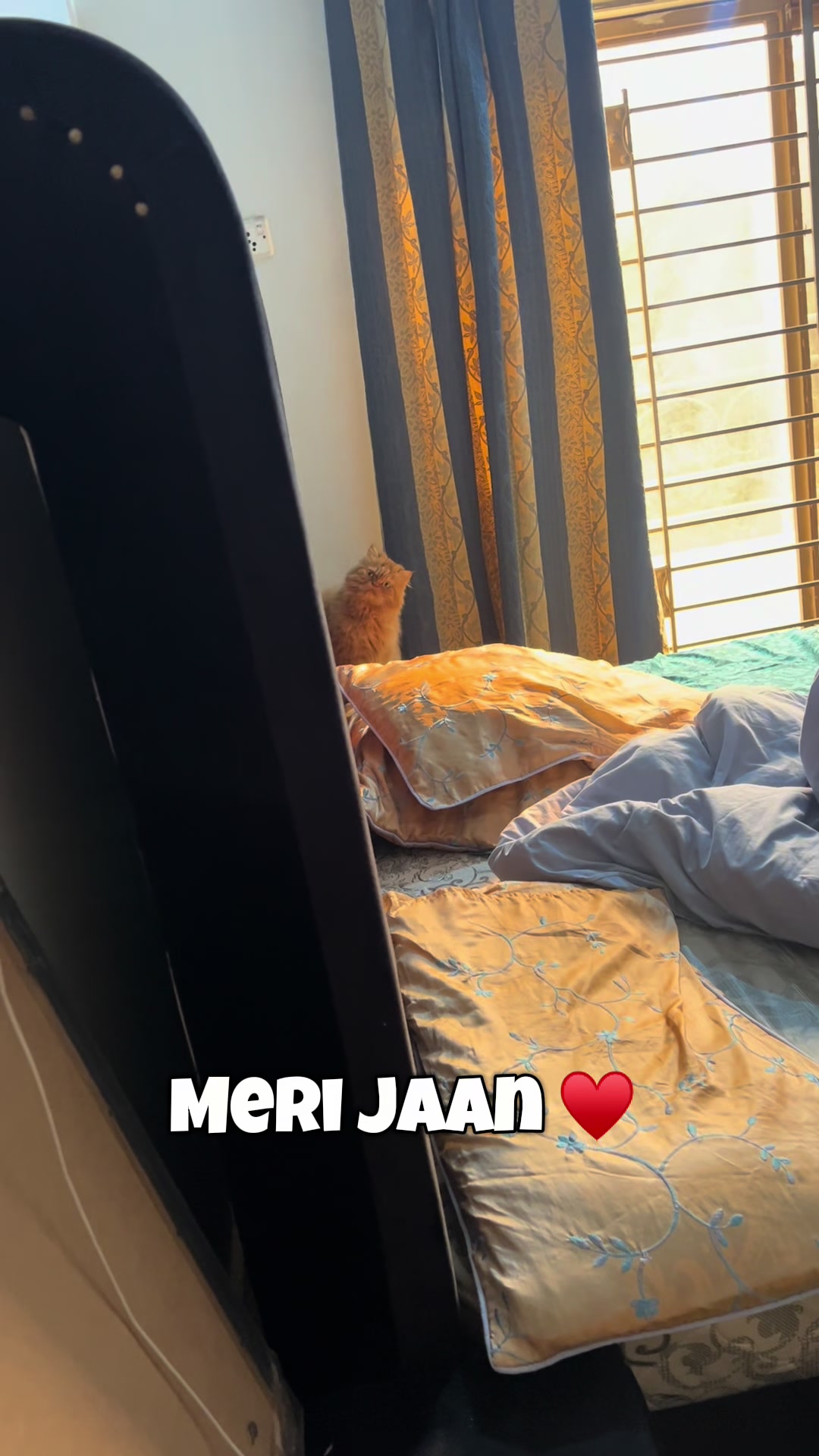 @OyeBhains