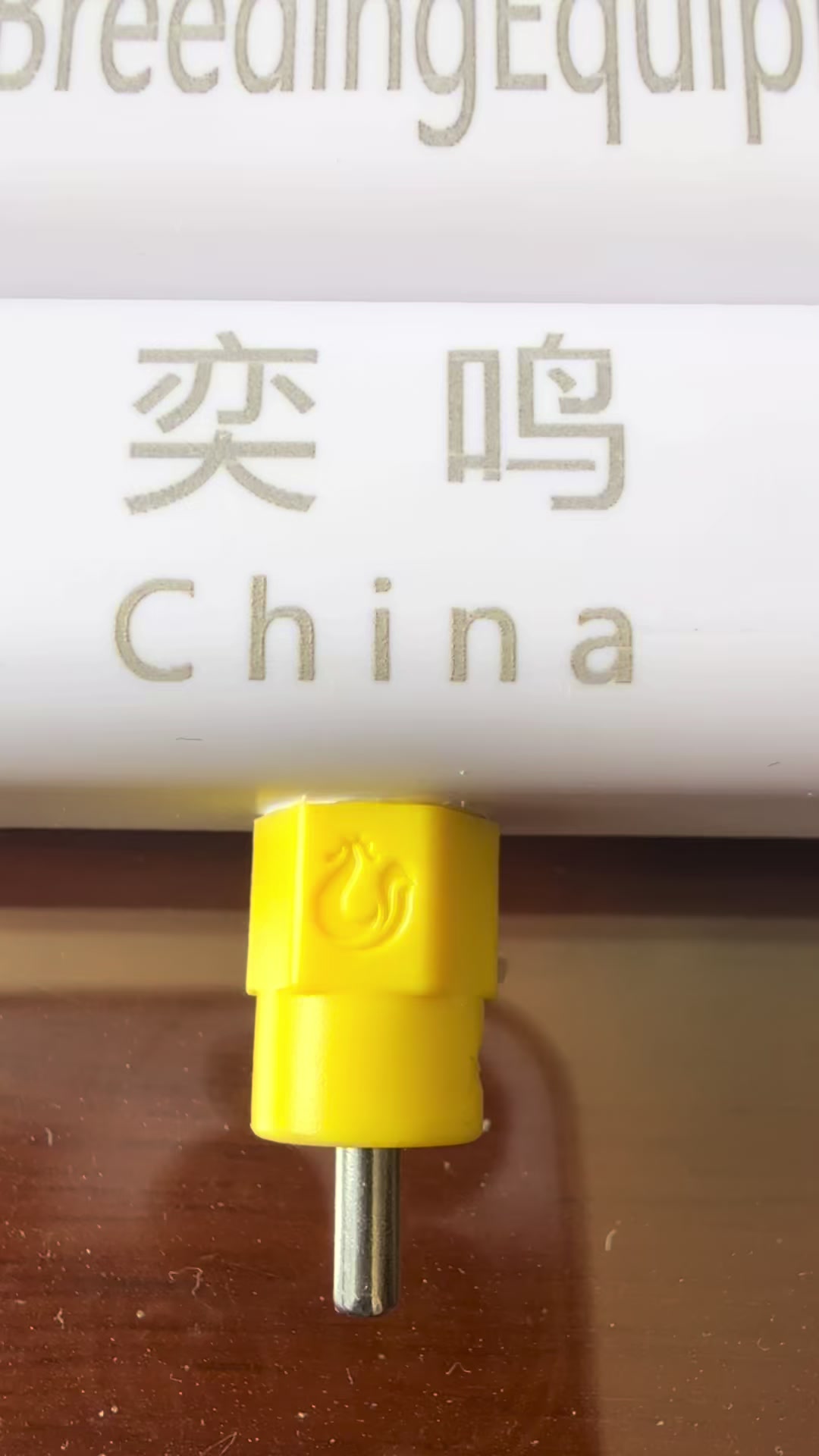 @China Lee