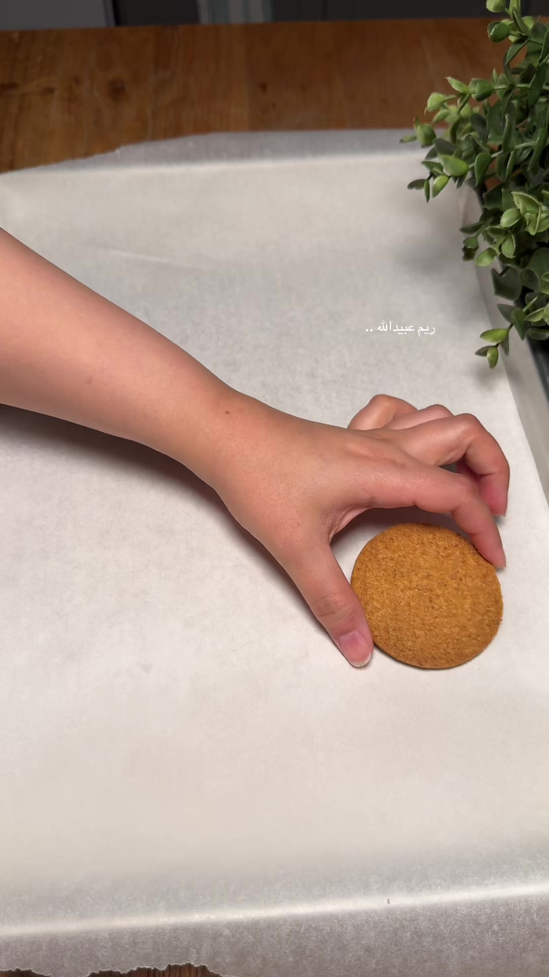 @ريم عبيدالله (ام دانا ولانا).