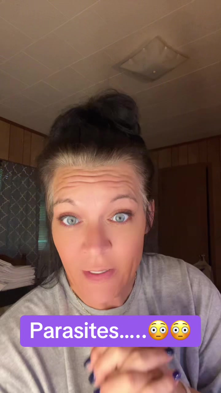 @SE Boston Terriers
