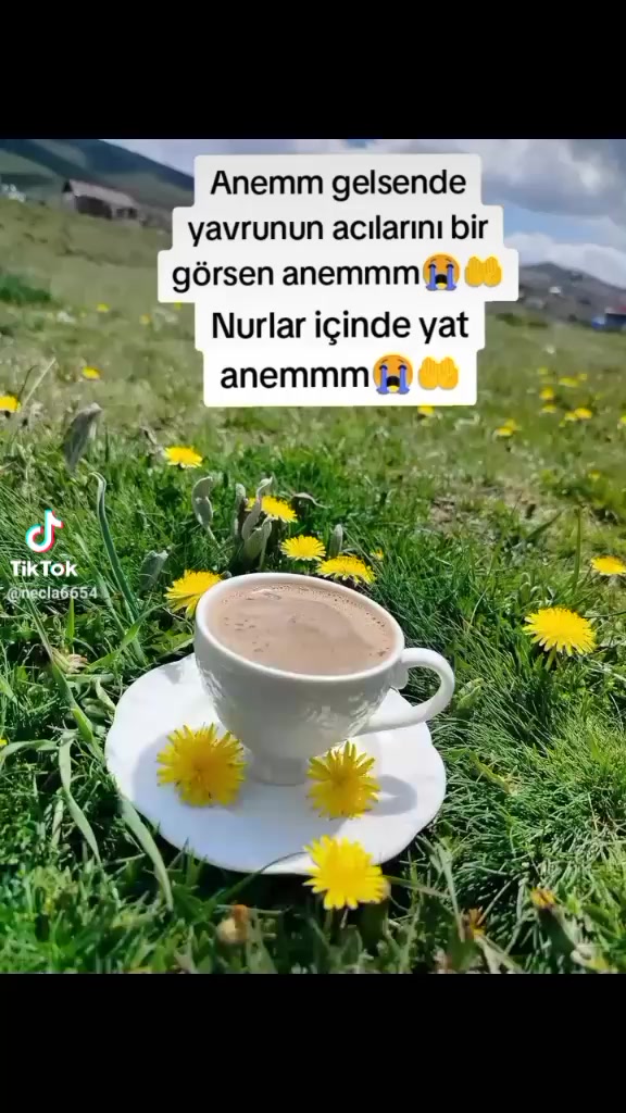 @meryem