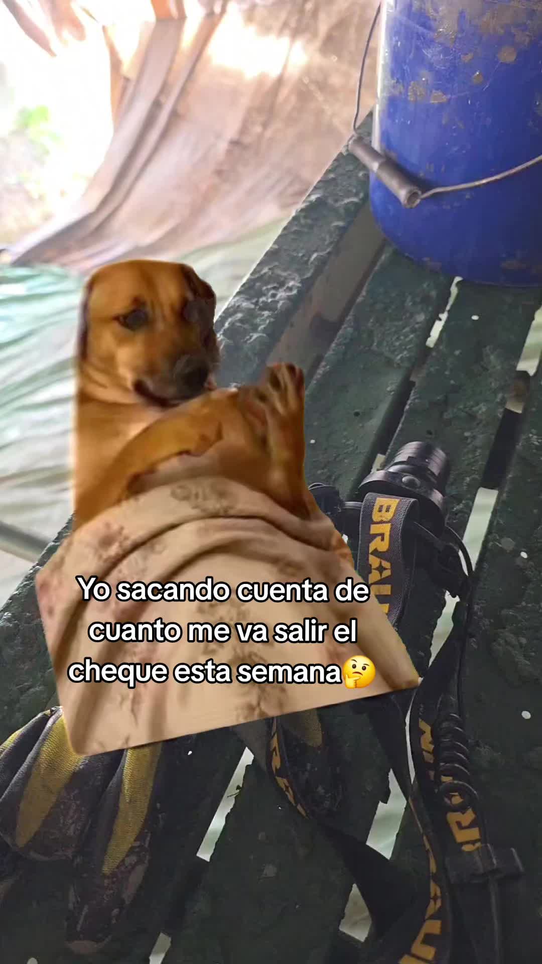 @Dionisio