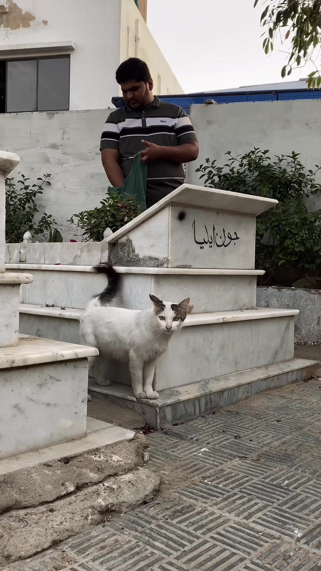 @🤴سلمان ربانی زرگر👑