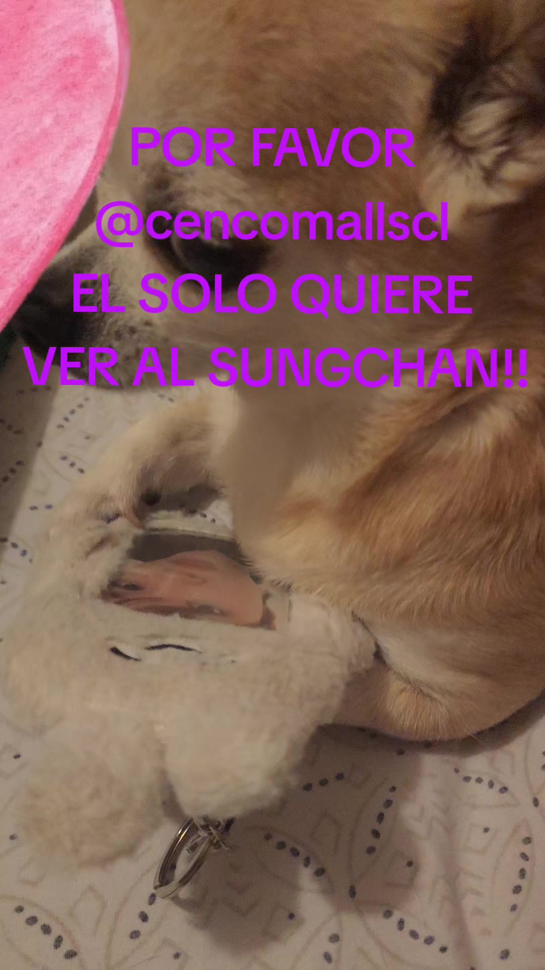@fernanda