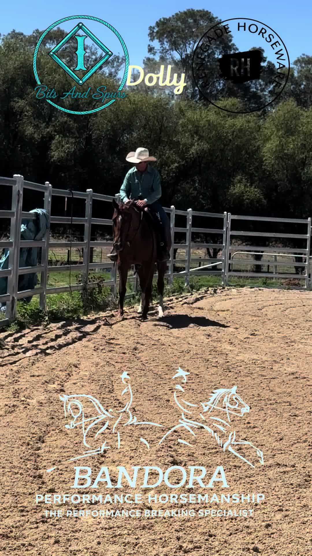 @Bandora_Horsemanship
