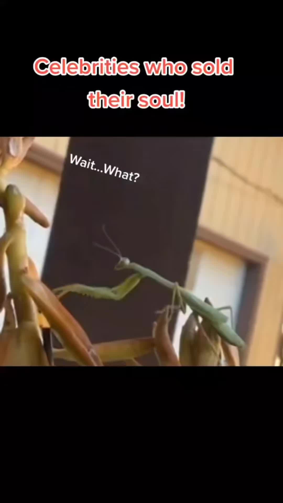 @Storyteller Z