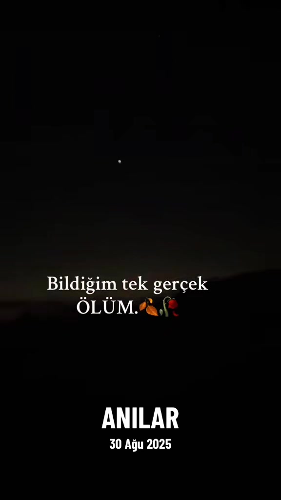 @🇹🇷 ͜͡✭𓃥 αүүιℓ∂ιz🦅🐺🤘A.S✨9
