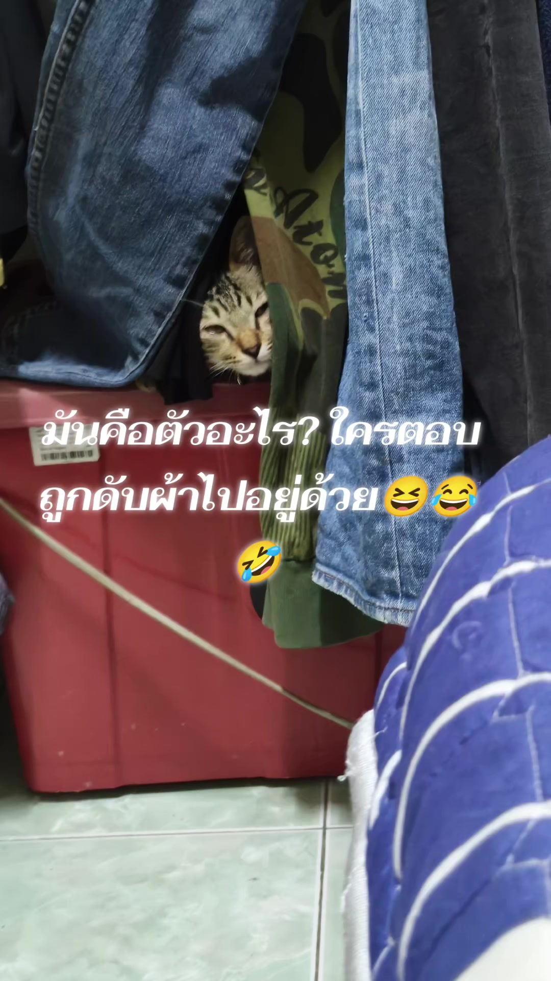 @🧚♀️⛧☾ thanida ☽⛧🧚🏻♂