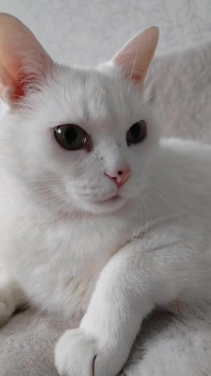 @кувалда