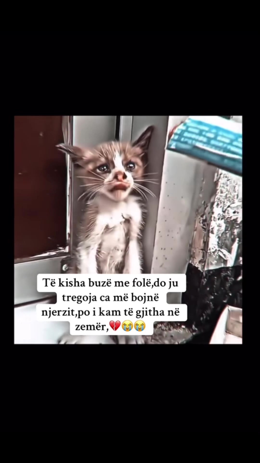 @Vdes per këto te dyja😻😻
