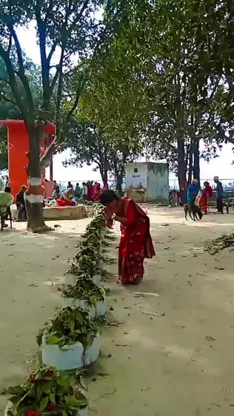 @dayaramtiwari145