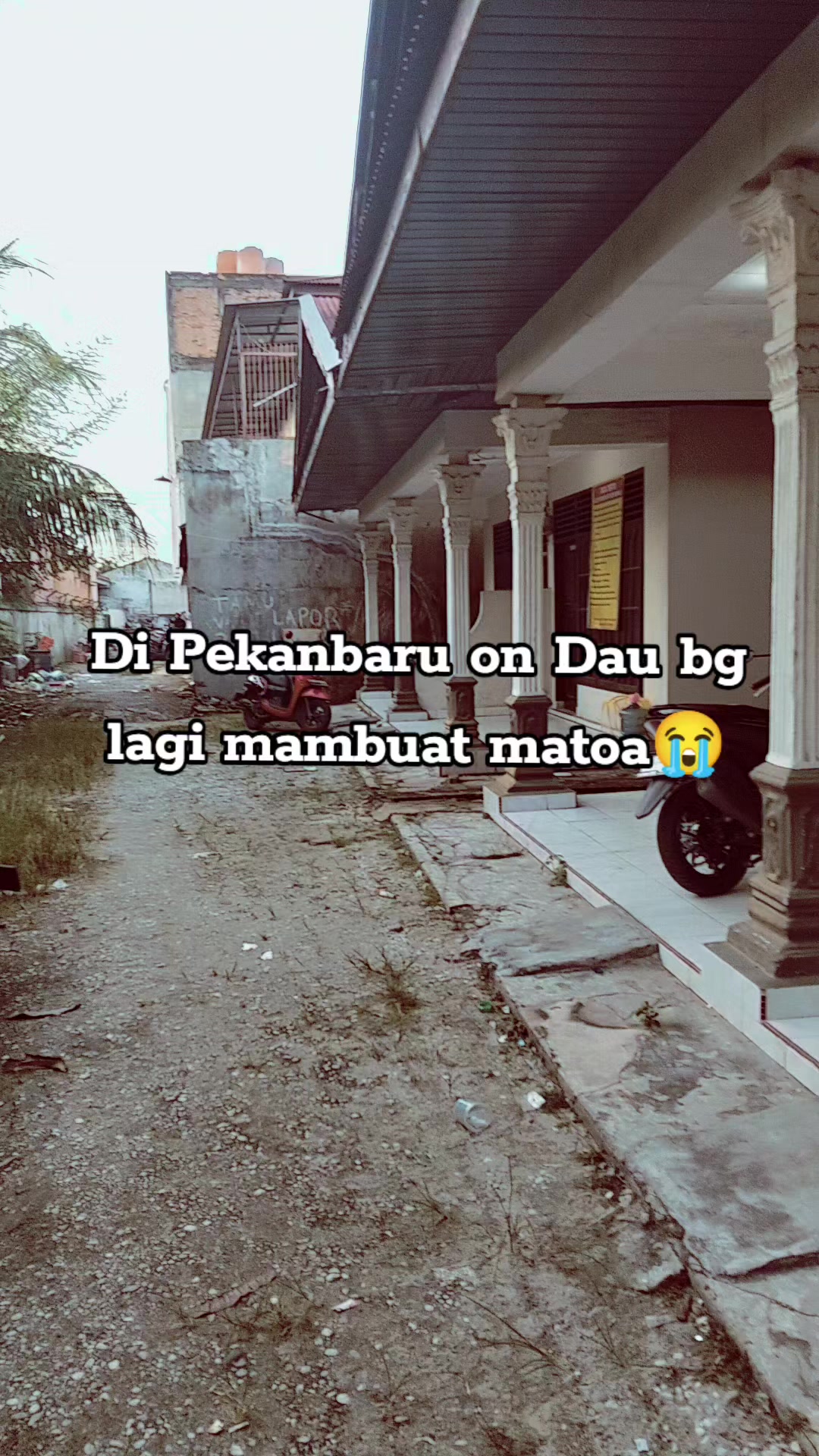 @AULIA LUBIS