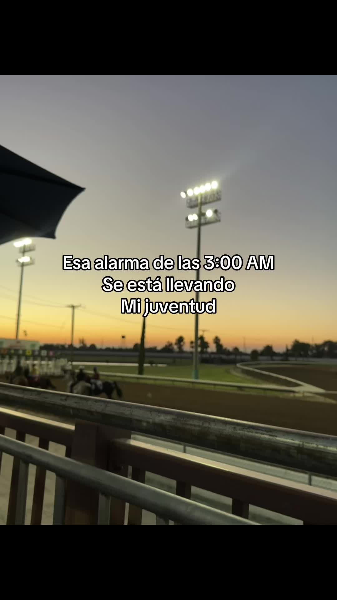 @oscar_sxt