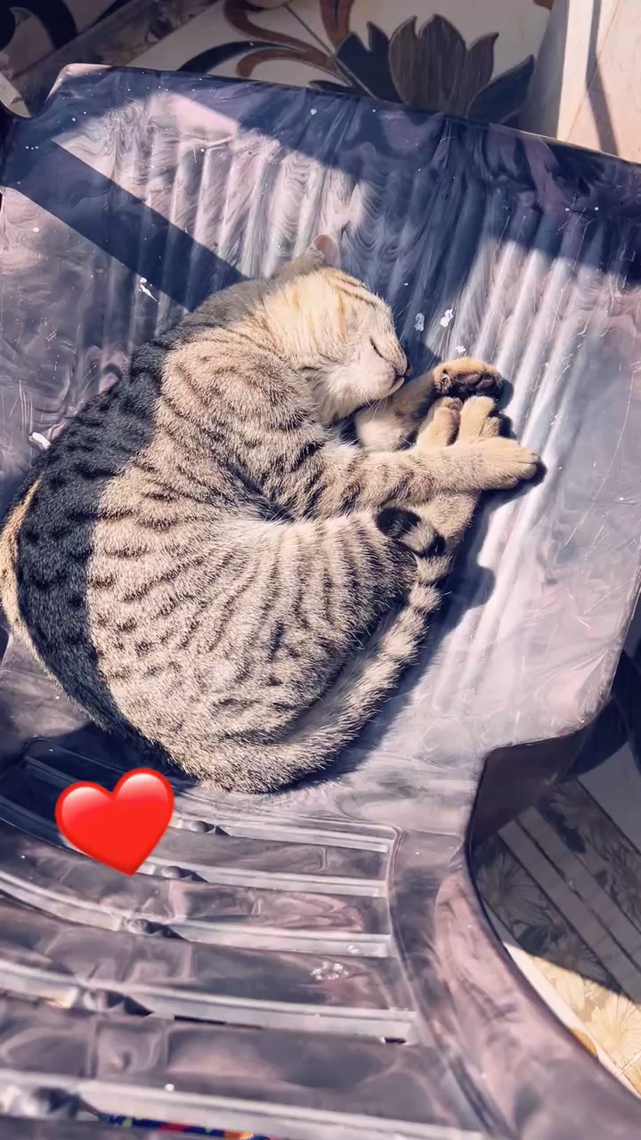 @Moon🦋🦋