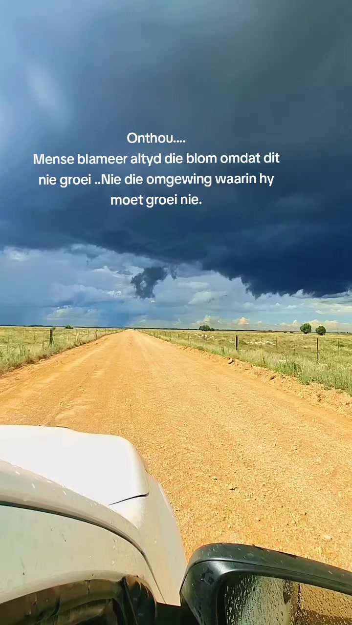 @Bees Strydom