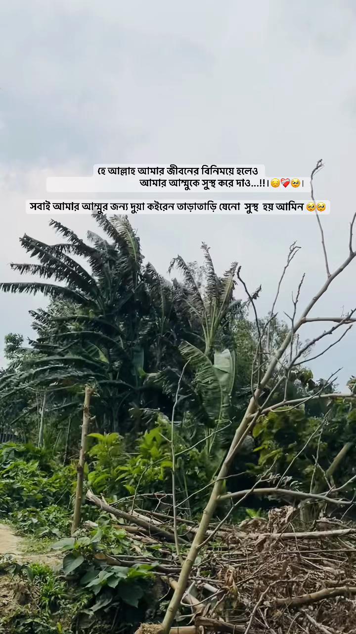 @hridoyahmed5552