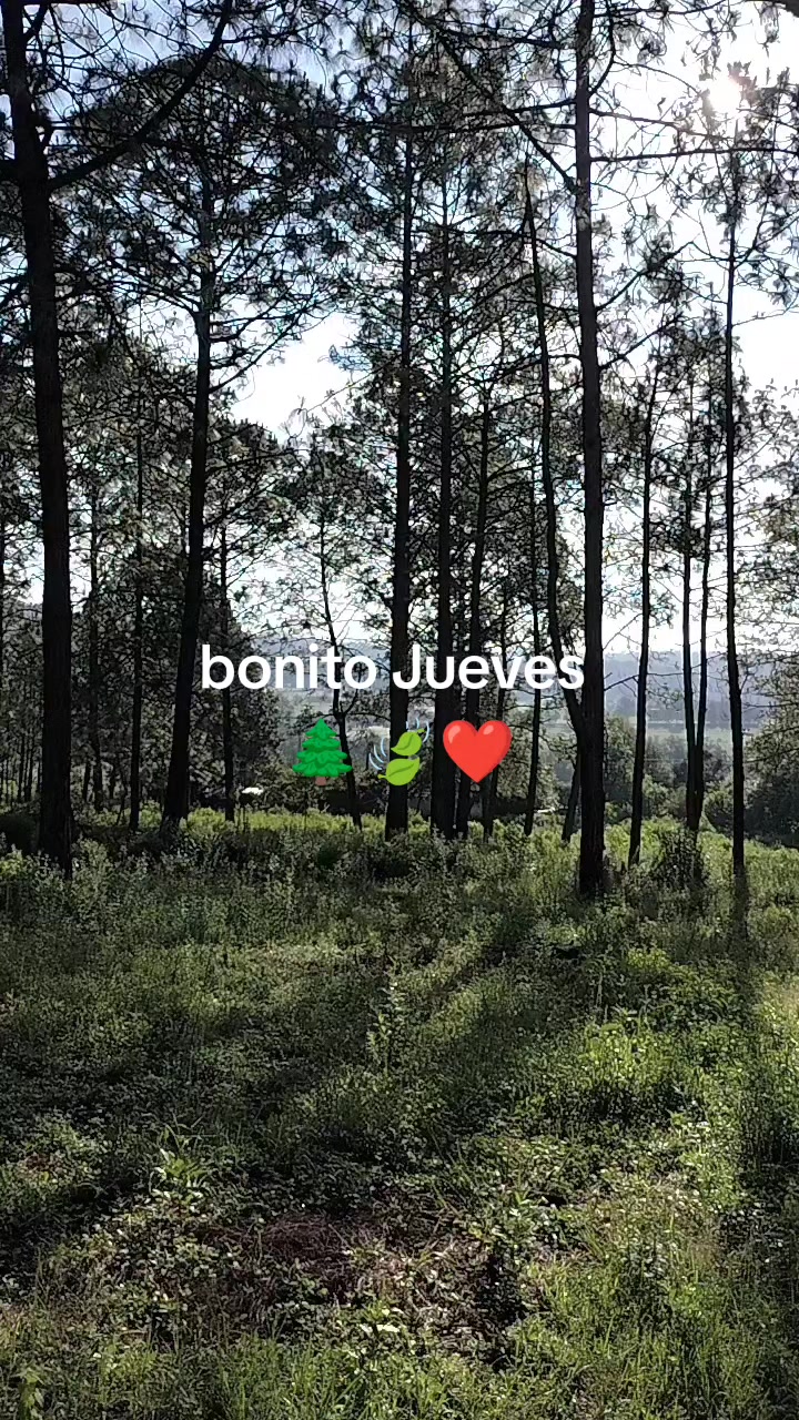 @Jose Miguel