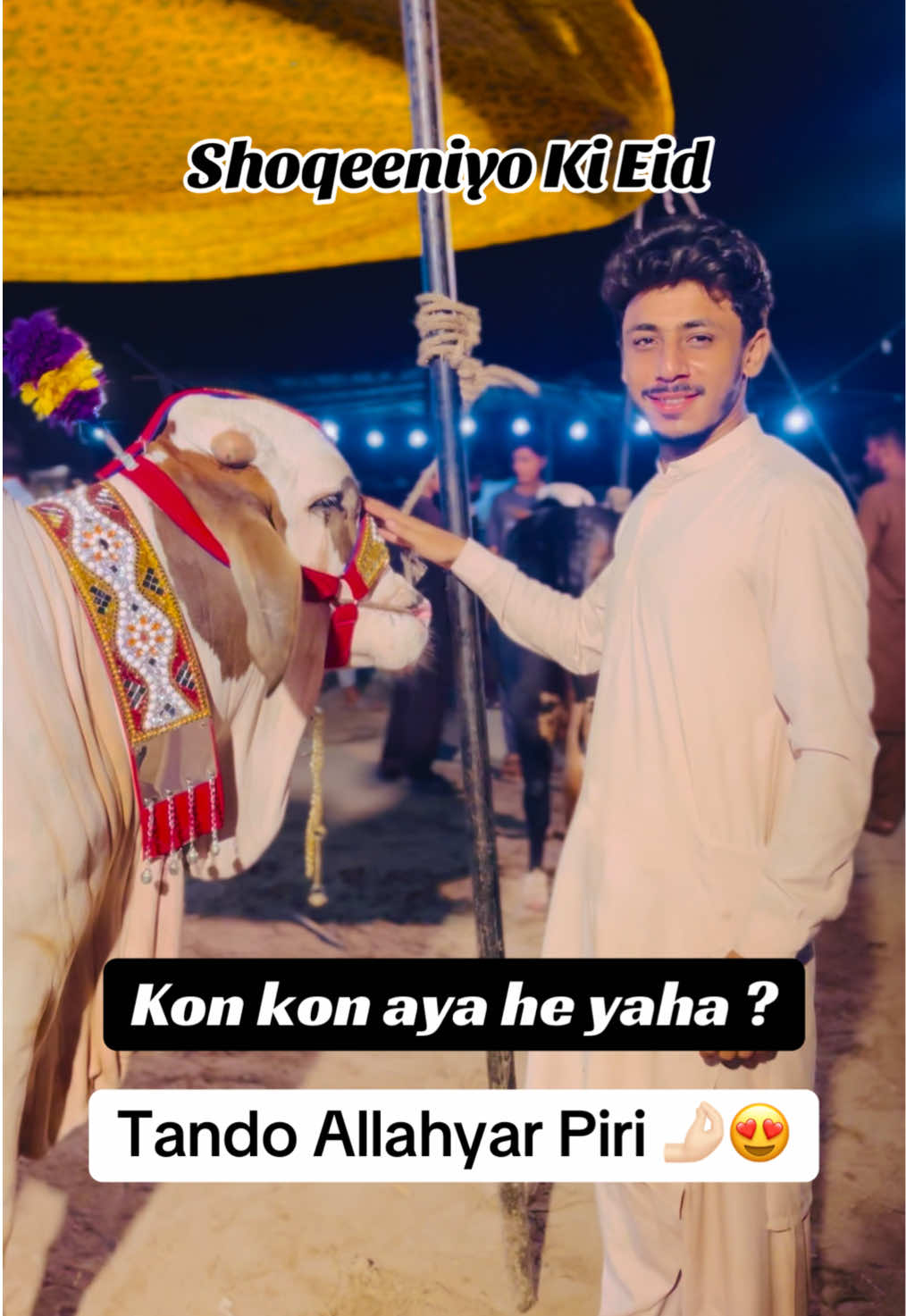 @SUMAIR 💥 Here