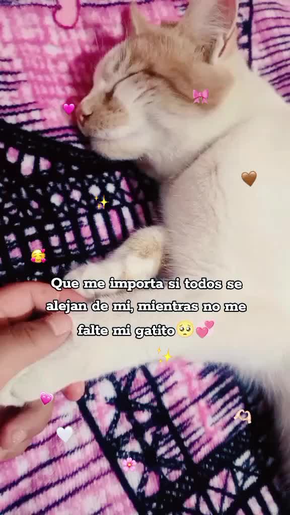 @ใก๐ฅ๐ฉ๐ป๐ข๐ฎ๐ฒ๐ข๐ช๐ฅใ