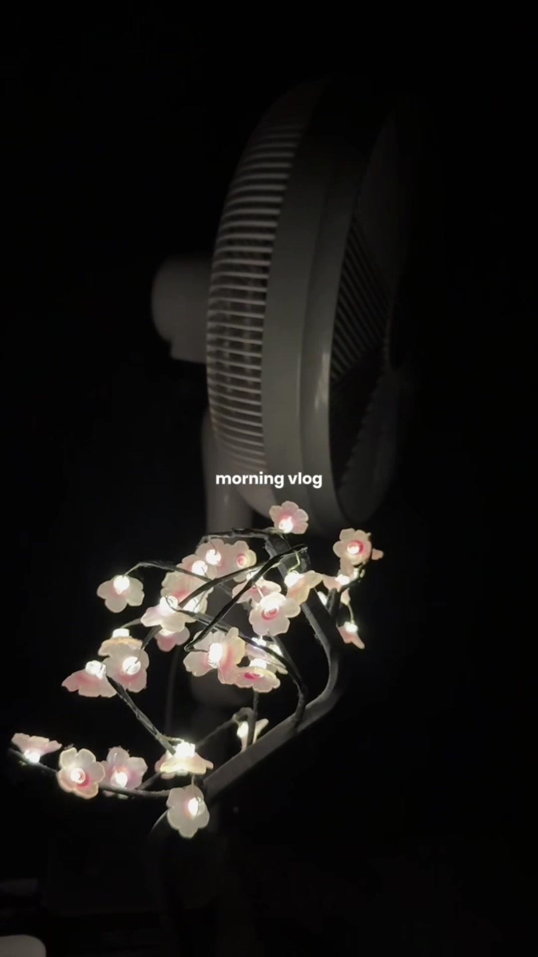 @yvie⋆˚