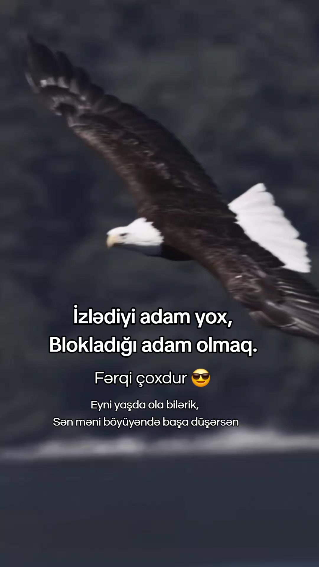 @𝗠𝗲𝗹𝗶𝗸𝗼𝘄𝘀 ⚡️