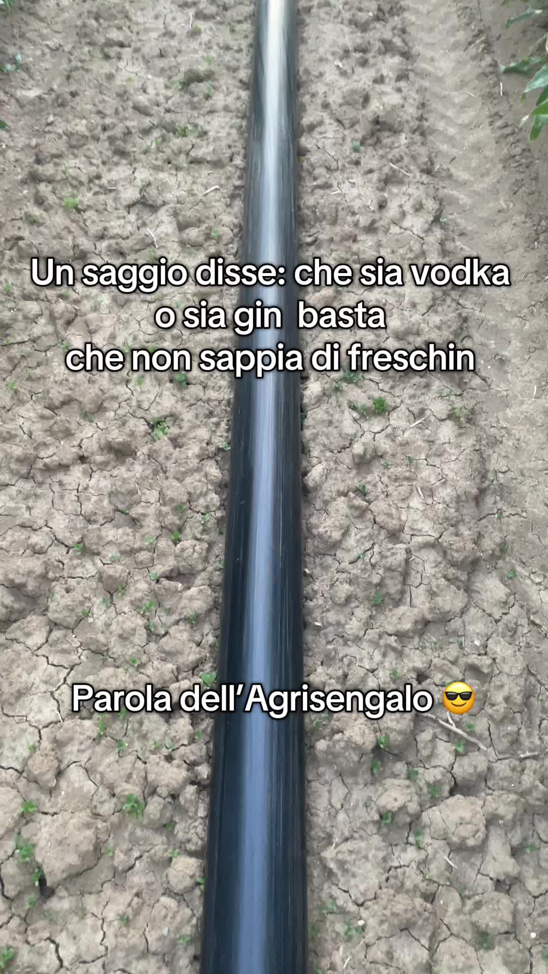 @Agrisengalo😎