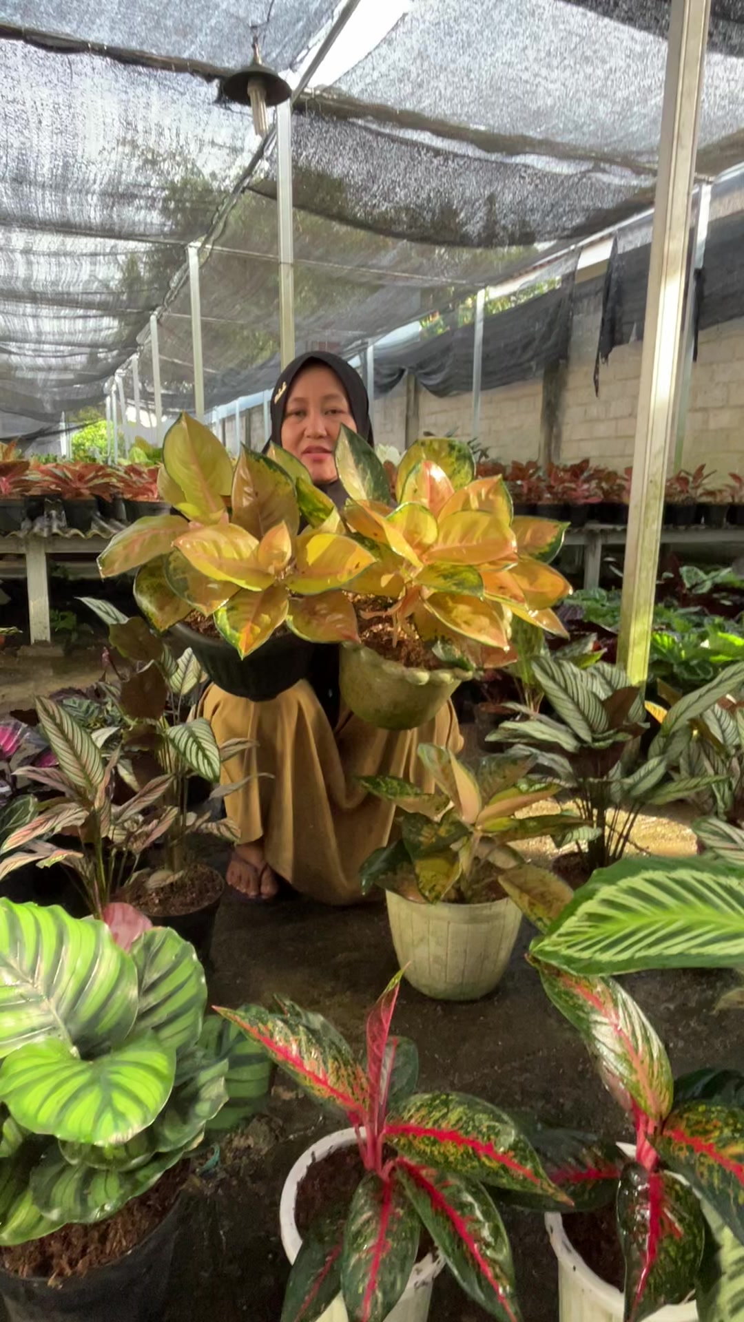 @Amila Flowers