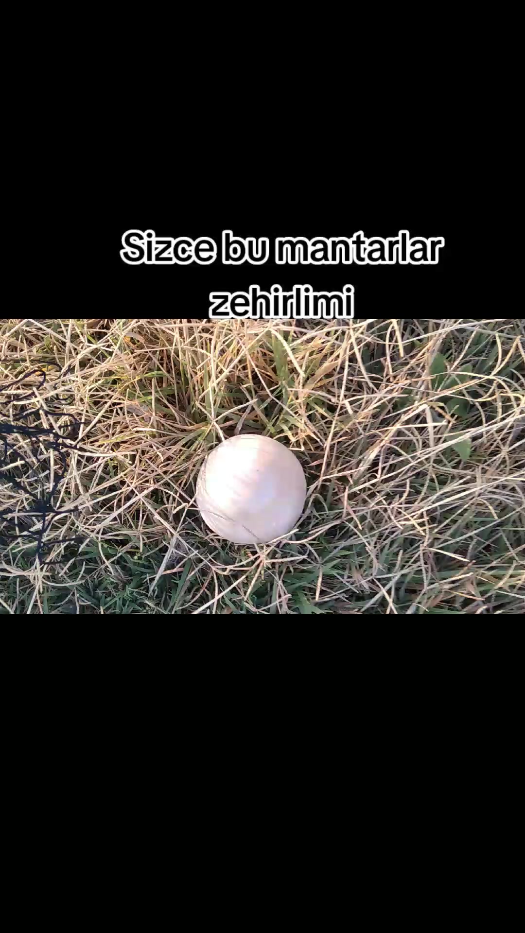 @NEFİS YEMEK TARİFLERİ