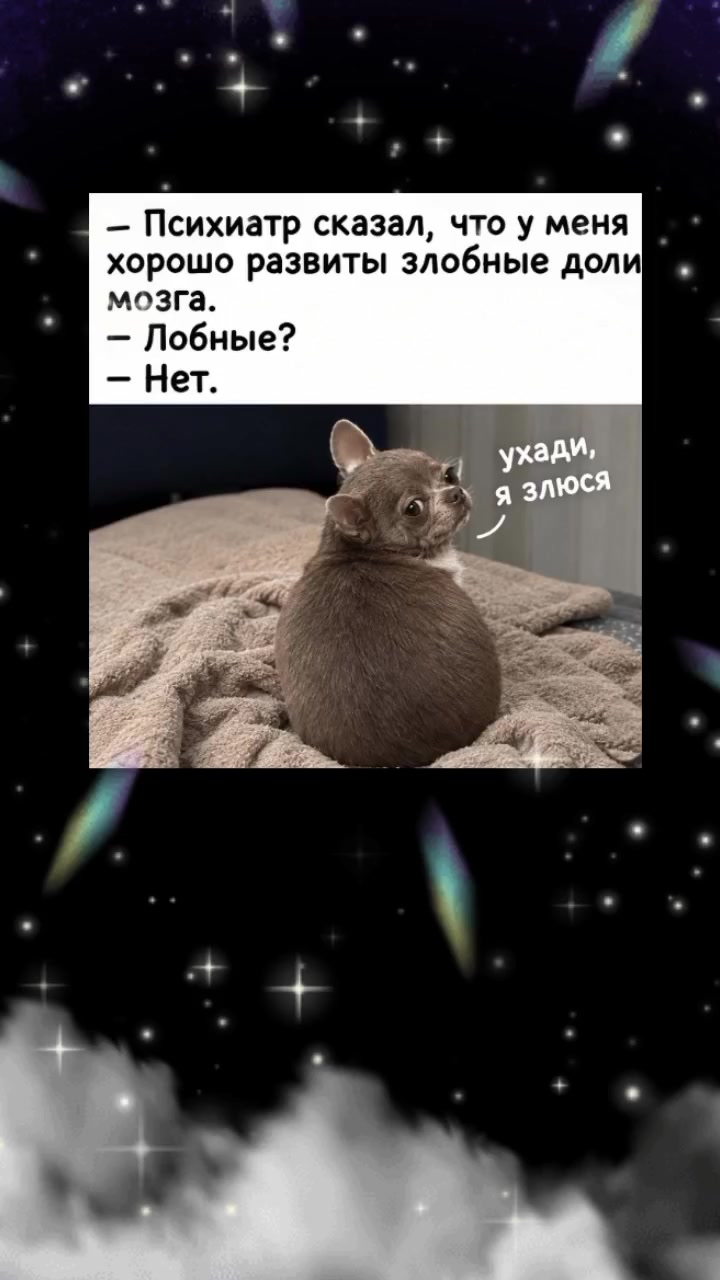 @๐๐๐ช๐ฝ๐ฝ๐ฝ๐ฒ ๐