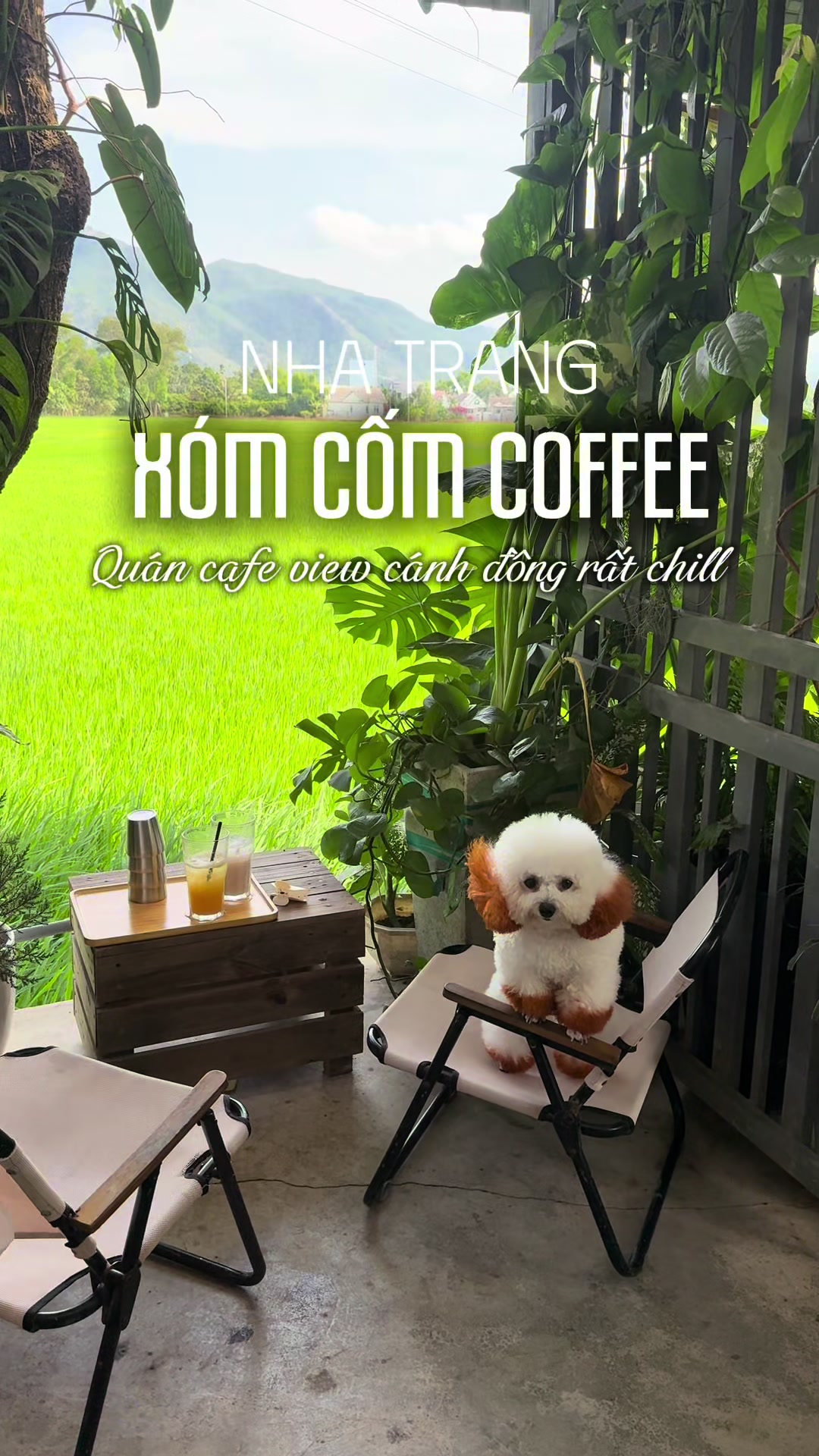 @Sài Gòn City View
